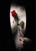 t�rskeres� - 