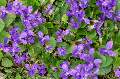 t�rskeres� - 