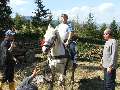 t�rskeres� - 