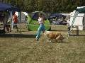 t�rskeres� - 