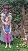 t�rskeres� - 