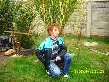t�rskeres� - 