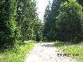 t�rskeres� - 