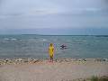 t�rskeres� - 