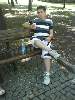 t�rskeres� - 