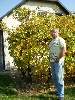 t�rskeres� - 