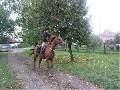 t�rskeres� - 