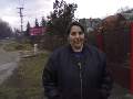 t�rskeres� - 