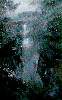t�rskeres� - 