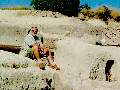 t�rskeres� - 