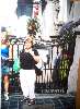 t�rskeres� - 