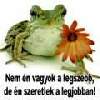 t�rskeres� - 