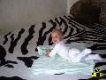 t�rskeres� - 