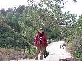 t�rskeres� - 