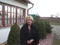t�rskeres� - 