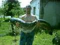 t�rskeres� - 