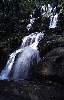 t�rskeres� - 
