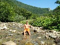t�rskeres� - 