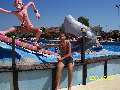 t�rskeres� - 