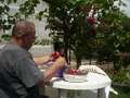 t�rskeres� - 