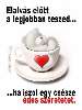 t�rskeres� - 