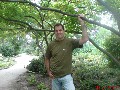 t�rskeres� - 