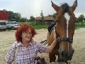 t�rskeres� - 