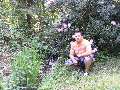 t�rskeres� - 