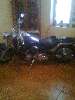 t�rskeres� - 