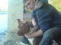 t�rskeres� - 