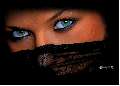 t�rskeres� - 
