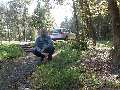 t�rskeres� - 