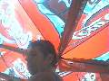 t�rskeres� - 