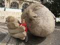 t�rskeres� - 