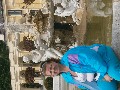 t�rskeres� - 