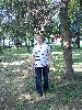 t�rskeres� - 