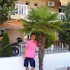 t�rskeres� - 