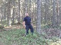 t�rskeres� - 