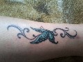 t�rskeres� - 