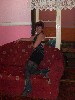 t�rskeres� - 