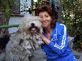 t�rskeres� - 