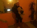t�rskeres� - 