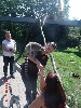 t�rskeres� - 