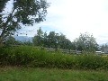 t�rskeres� - 